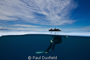 Shelly was looking for me as I had surfaced to one side o... by Paul Duxfield 